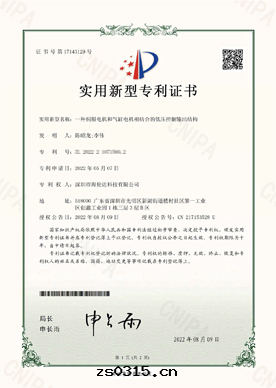 實(shí)用(yòng)新(xīn)型專利